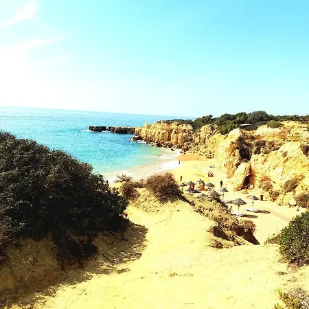 Apartment Tropicana One Bedroom Flat T1 With Garden Close To 8 Beaches