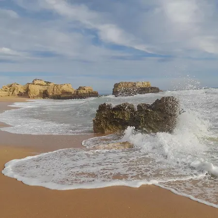 Tropicana One Bedroom Flat T1 With Ac Portatil, Garden And Parking Place Daire Albufeira